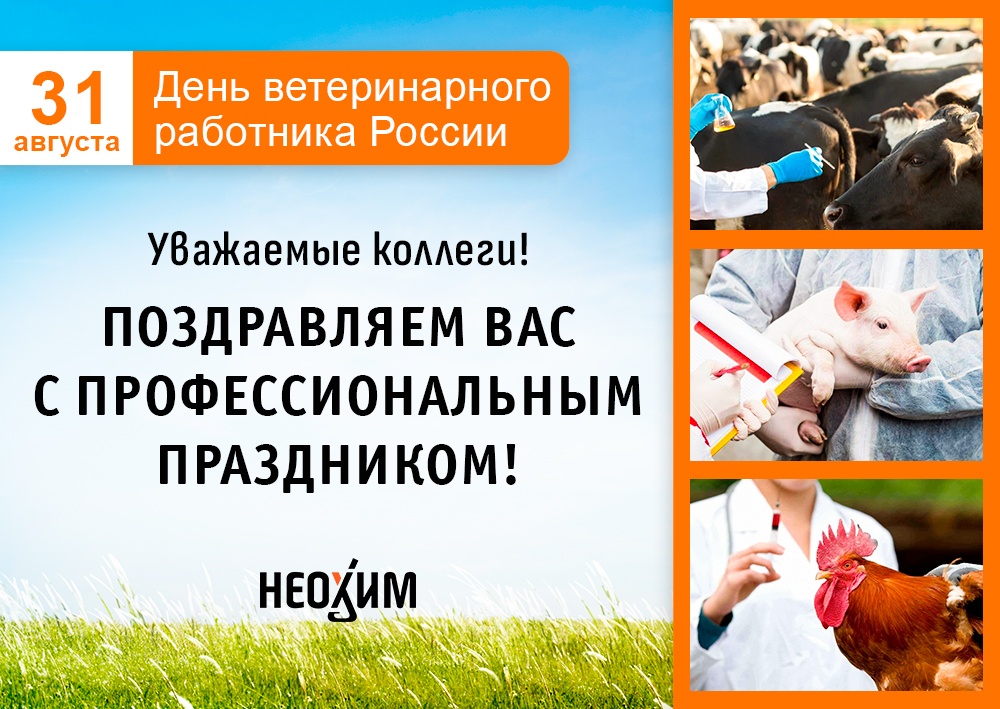 С Днем ветеринарного работника!