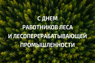 С Днем работников леса!
