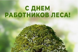 С днем работника леса!