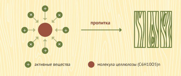 Impregnation action for wood