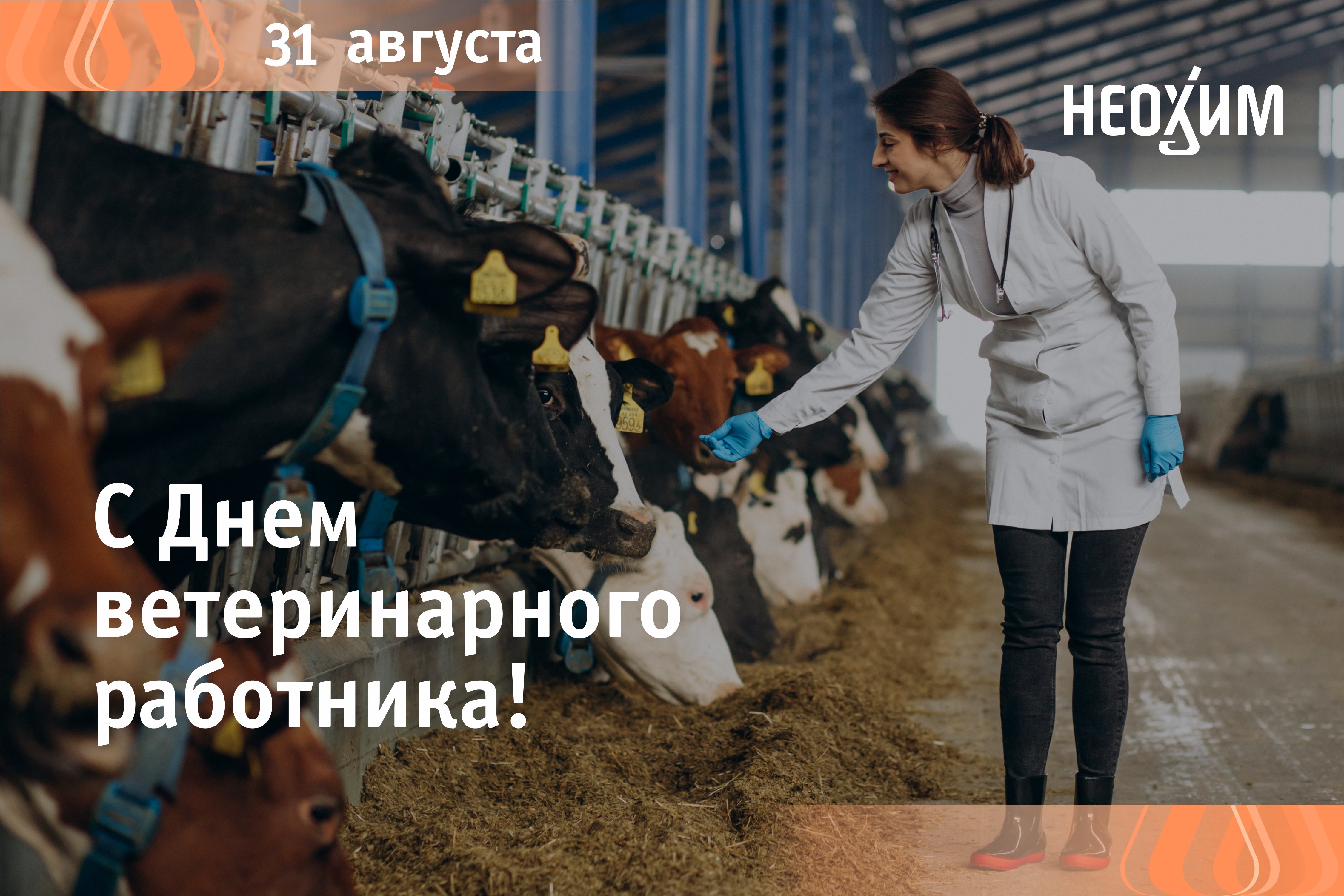 С Днем ветеринарного работника